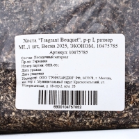 Хоста "Fragrant Bouquet", р-р I, размер ML,1 шт, Весна 2025, ЭКОНОМ,