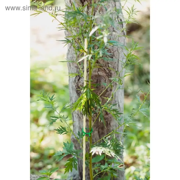 Колышек для подвязки растений, h=100 см, d=8 мм, стеклопластик, Greengo