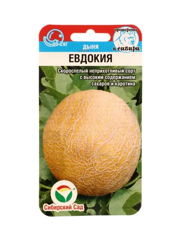 Семена Дыня Евдокия 7шт