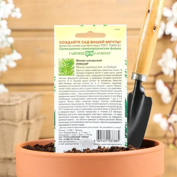 Семена комнатных цветов Финик "Луксор", ц/п,  2 шт.