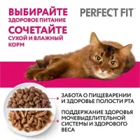 Влажный корм Perfect Fit для стерилизованных кошек, говядина/паштет, пауч,  75 г