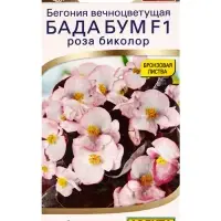 Семена цветов Бегония Бада бум F1 роза биколор  (драже в пробирке) Спецсерия Syngenta, Ц/П,5 шт. 109