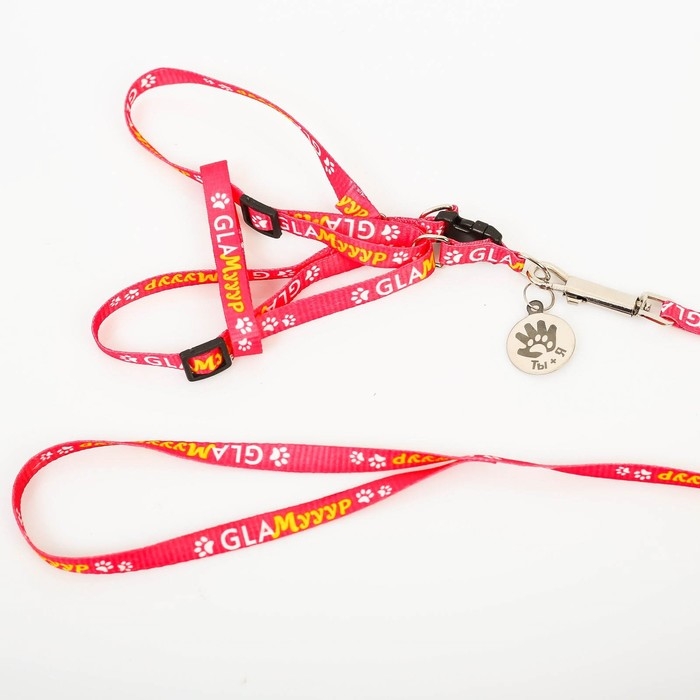 Комплект &laquo;Ты и я&raquo;, шлейка 26-39 см, поводок 120х1 см, медальон