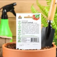 Семена Лук на зелень репчатый Красный салатный, ц/п, 0,5 г  серия ХИТ х3