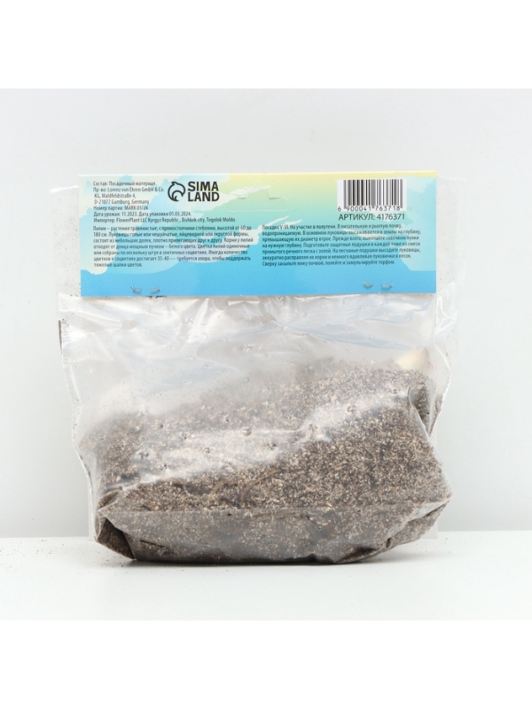 Лилия Азиатская &laquo;Ландини&raquo;, луковица в пакете с перфорацией, р-р 12/14, 3 шт.