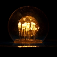 Лампа светодиодная, 6 LED, G45, Е27, 1 Вт, для белт-лайта, т-бел, наб. 10 шт Лампа светодиодная, 6 LED, G45, Е27, 1 Вт, для белт-лайта, т-бел, наб. 10 шт