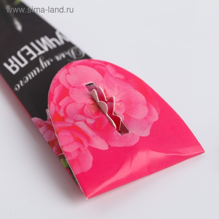 Ручка в подарочном конверте &laquo;Учителю: Для лучшего учителя&raquo;, металл, синяя паста, 1.0 мм