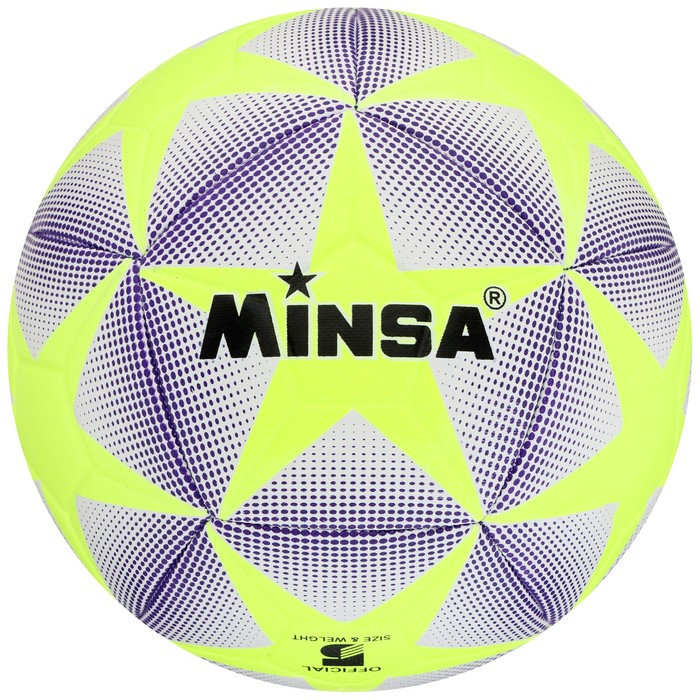 Футбольный мяч MINSA, машинная сшивка, 12 панелей, р. 5, TPE