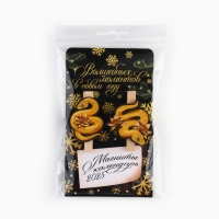 Новогодний магниты-прищепки &laquo;Новый год: Волшебных моментов черное золото&raquo;, 7 х 12,7 х 1,5 см