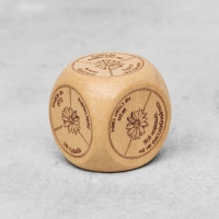 Набор для гадания "Диагностическая доска+маятник+кубик" Набор для гадания "Диагностическая доска+маятник+кубик"