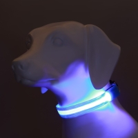 Ошейник с подсветкой Двойная полоса размер L, ОШ 45-52 х 2,5 см 3 режима свечения голубой Ошейник с подсветкой Двойная полоса размер L, ОШ 45-52 х 2,5 см 3 режима свечения голубой