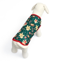 Толстовка "Пряня", размер XL (ДС 40, ОШ 40, ОГ 50 см), зелёная Толстовка "Пряня", размер XL (ДС 40, ОШ 40, ОГ 50 см), зелёная