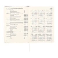 Ежедневник датированный 2025 A5 168 листов, deVENTE.Barbara, твердая обложка кожзам с поролоном, хлястик, перфорация, ляссе, блок 70, розовый