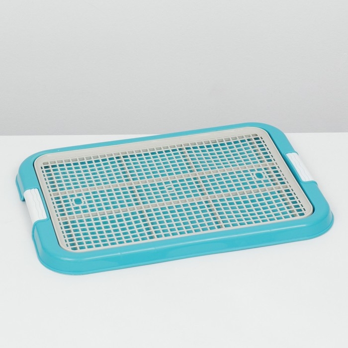 Туалет для собак, 51 х 38 х 3 см, голубой