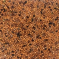 Семена Горчица белая, Мой Выбор, 1,5 кг Семена Горчица белая, Мой Выбор, 1,5 кг