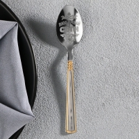 Ложка чайная с гравировкой &laquo;Любимый сын&raquo;, в подарочной коробке, 3 х 14 см.