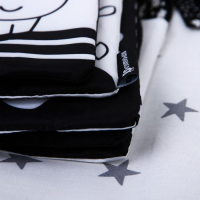 Книжка-бортик развивающая по методике Г. Домана &laquo;Я изучаю животных&raquo;