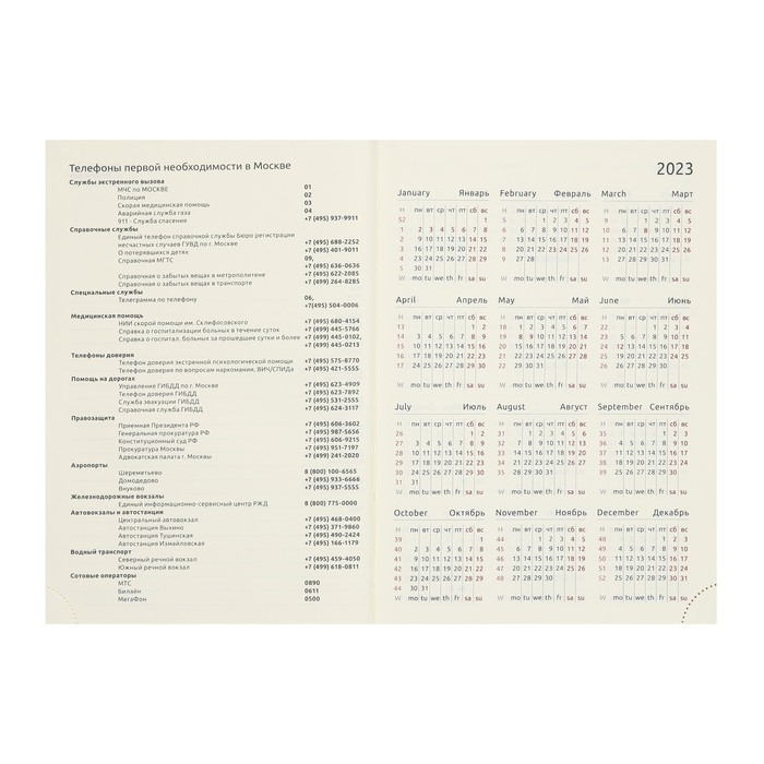 Ежедневник датированный 2024 A5 176 листов, deVENTE.Symbol, твёрдая обложка из искусственной кожи, тиснение фольгой, ляссе, кремовый блок 70 г/м2, зелёный Ежедневник датированный 2024 A5 176 листов, deVENTE.Symbol, твёрдая обложка из искусственной кожи, тиснение фольгой, ляссе, кремовый блок 70 г/м2, зелёный