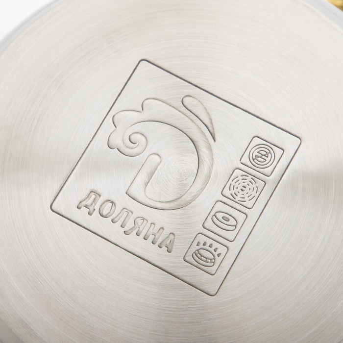 Кастрюля из нержавеющей стали с крышкой Доляна &laquo;Роскошь&raquo;, 3 л, d=20 см