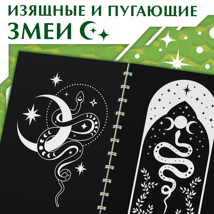 Книга «Гравюры. Змеи», 8 картинок, со штихелем Книга «Гравюры. Змеи», 8 картинок, со штихелем