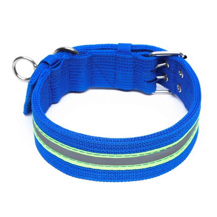 Ошейник четырехслойный светоотражающий с вертлюгом, 71 х 5 см, ОШ 55-65 см, синий