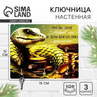 Ключница настенная новогодняя &laquo;Богатства&raquo;, на Новый год