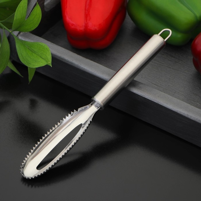 Рыбочистка Доляна &laquo;Металлик&raquo;, 16,5 см, цвет серебристый