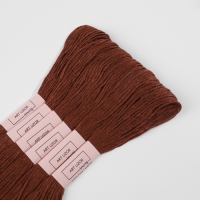 Набор ниток мулине №3857, 8 &plusmn; 1 м, 6 шт, цвет тёмно-коричневый