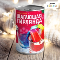 Набор для опытов &laquo;Шагающая гирлянда&raquo;