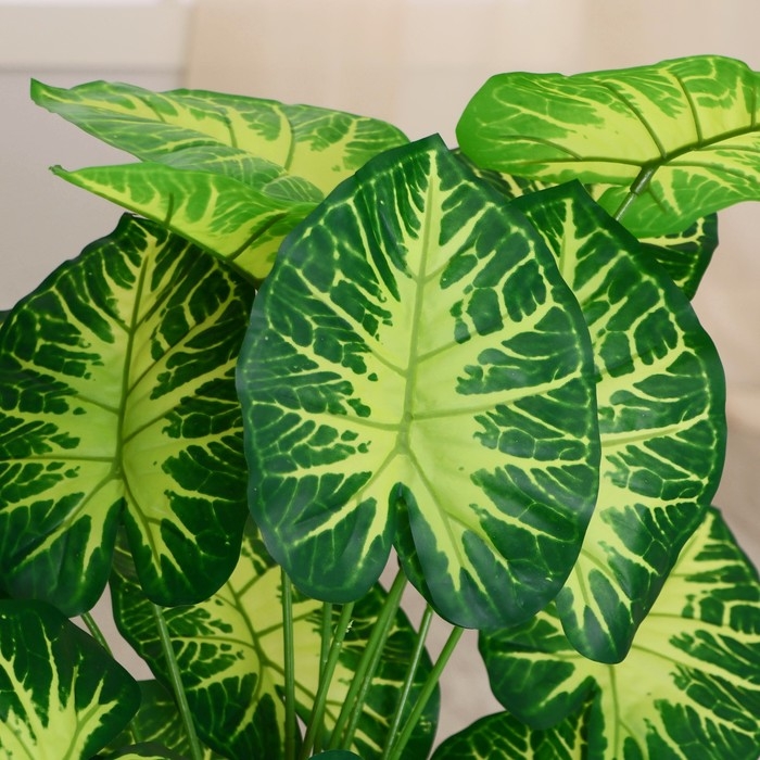 Дерево искусственное Дерево искусственное "Алоказия пёстрая" 75 см