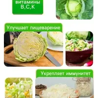 Семена Капуста белокочанная "Слава 1305", 0,5 г