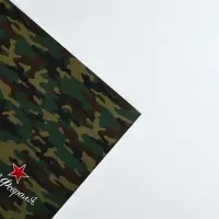 Бумага упаковочная глянцевая &laquo;С 23 февраля&raquo;, 70 х 100 см