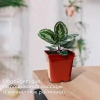 Горшок для рассады, 3 л, d = 16 см, h = 16 см, терракот, Greengo