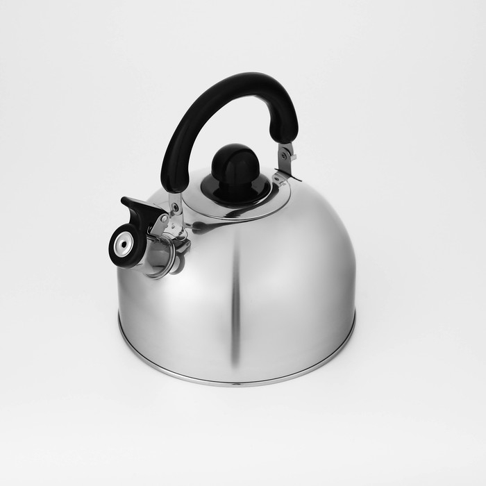 Чайник со свистком из нержавеющей стали Доляна &laquo;Чёрная ночь&raquo;, 3 л, фиксированная ручка, цвет хромированный