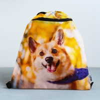 Мешок для обуви &laquo;Забавный корги&raquo; 2 секции, 30&times;40 см