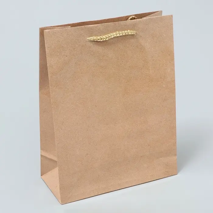 Пакет подарочный ламинированный, упаковка, &laquo;Крафт&raquo;, MS 18 х 23 х 8 см
