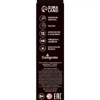 Набор карандашей чернографитных 12 штук, Calligrata Classic, с ластиком, заточенные, пластик, трехгранные, черные