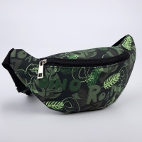 Сумка детская поясная для мальчика &laquo;Динозавры&raquo;, на молнии, наружный карман, цвет зелёный