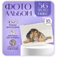 Фотоальбом на 36 фото 10&times;15 см &laquo;Пёс и котёнок&raquo;, 18 листов, МИКС