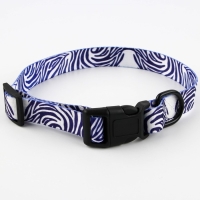 Ошейник &laquo;В гармонии с природой&raquo;, застёжка - фастекс, 2.5 см, 40-55 см