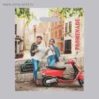 Пакет &laquo;Прогулка&raquo; полиэтиленовый с вырубной ручкой, 50 мкм, 30&times;40 см