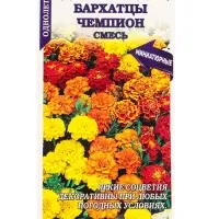 Семена Бархатцы Чемпион смесь /Сотка/ 0,2г/ 15-20см, 4-6с/*1200
