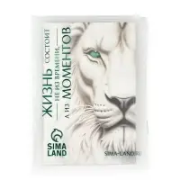 Пакет подарочный &laquo;Новогодний&raquo;, с очками, 31 &times; 11 &times; 40 см