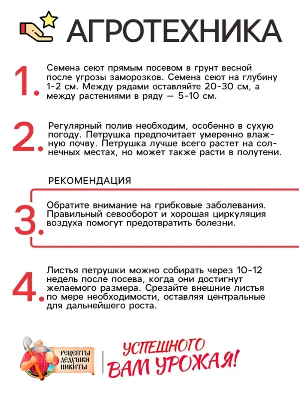 Семена петрушка листовая &laquo;Богатырь&raquo;, 2 г