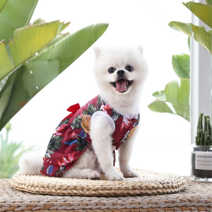 Платье для животных Тропики, S (ДС 25, ОГ 35 см), красное