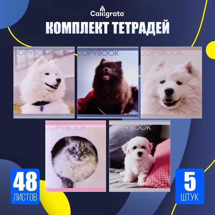 Комплект тетрадей из 5 штук, 48 листов в клетку Calligrata Комплект тетрадей из 5 штук, 48 листов в клетку Calligrata "Любимые питомцы", обложка мелованная бумага, блок №2, белизна 75% (серые листы)