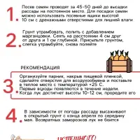 Семена Лук порей "Карантанский", 0,1 г