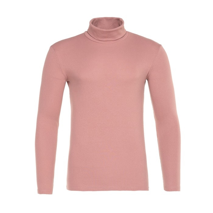 Водолазка мужская MINAKU: Basic line MAN цвет терракот, размер 44 Водолазка мужская MINAKU: Basic line MAN цвет терракот, размер 44