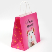 Пакет подарочный, упаковка, &laquo;Ля ты&raquo;, 22 х 22 х 11 см