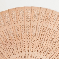 Веер дерево с ароматом сандала Веер дерево с ароматом сандала